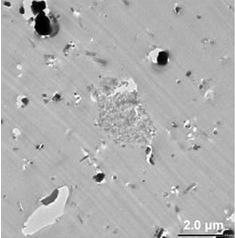 World’s first uniformly dispersed carbon nanotubes04